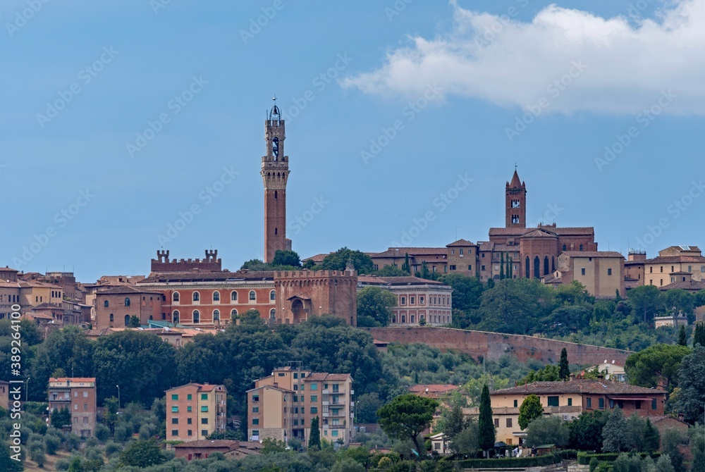Blick auf die Altstadt von Siena in der Toskana in Italien