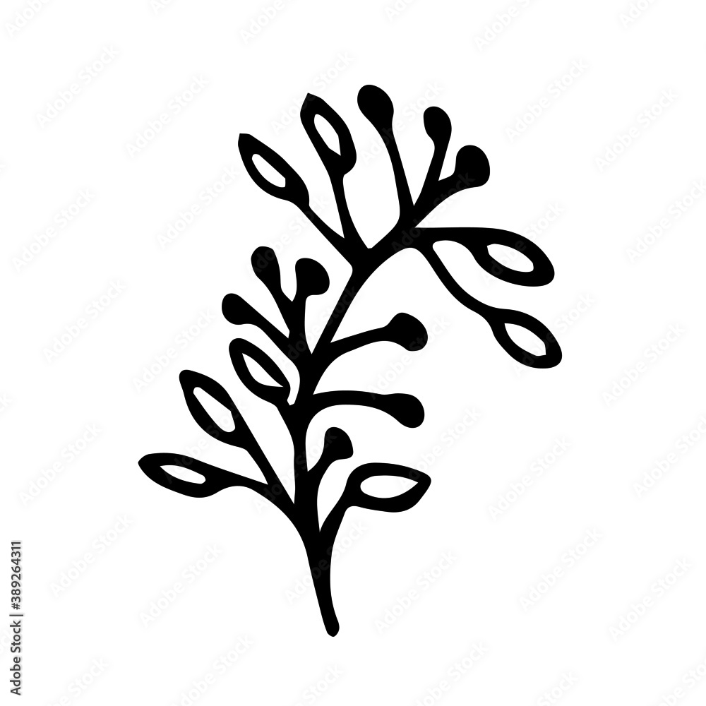 Doodle branch with berries and leaves. Hand drawn doodle botanical element. Simple branch with little berries.