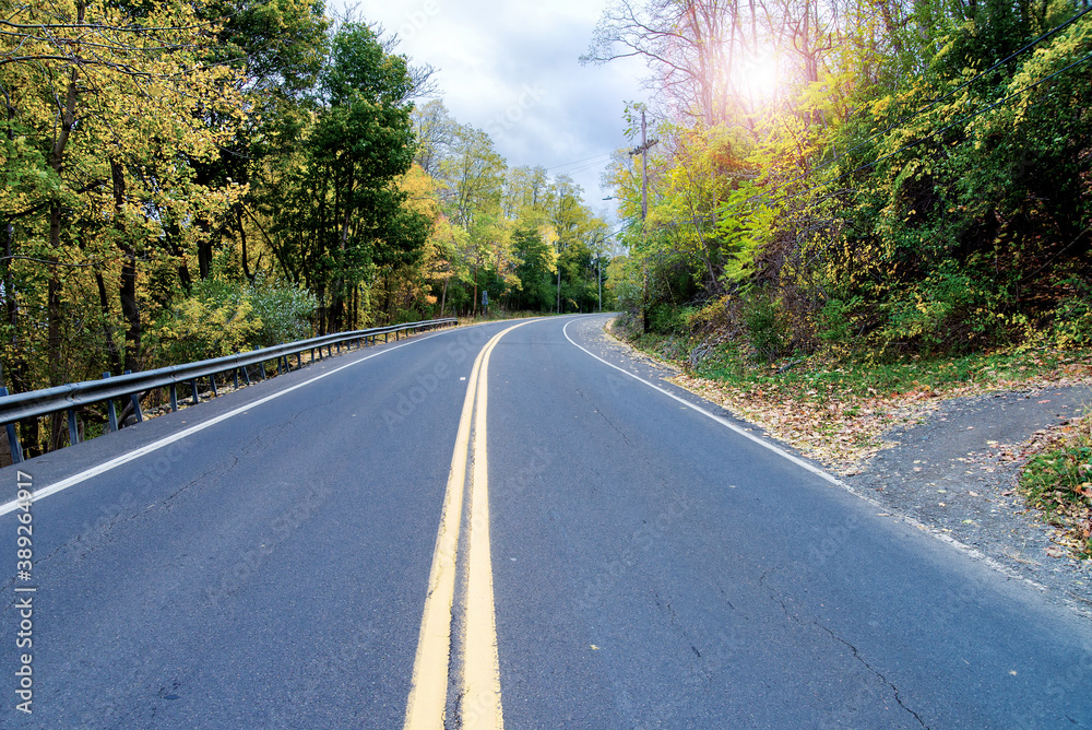 Obraz premium road in the autumn forest