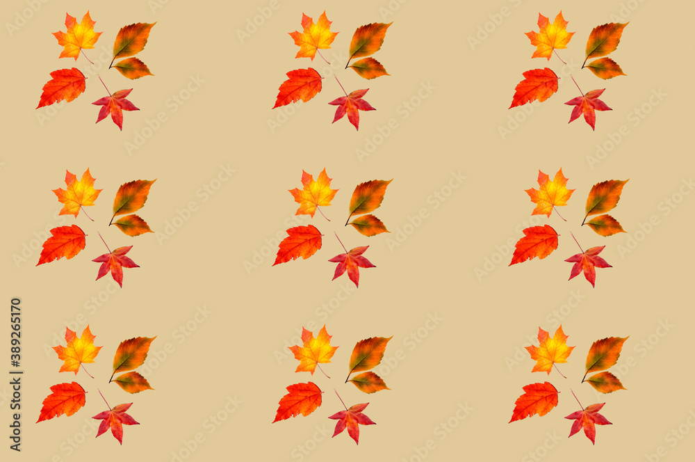 Patrón repetido otoño Patrón repetido otoño