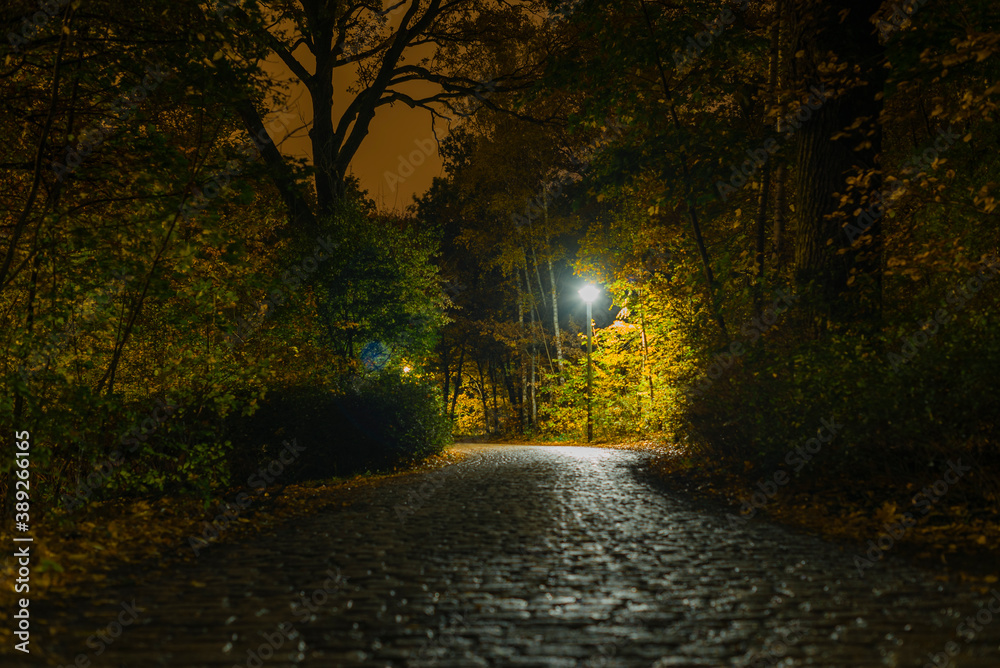 Obraz premium A cobblestone street that leads through a forest, cobblestone street at night, street lamps at night