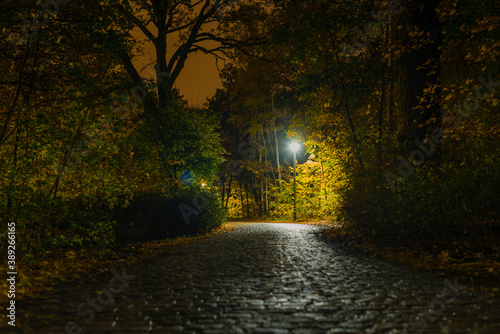 A cobblestone street that leads through a forest, cobblestone street at night, street lamps at night