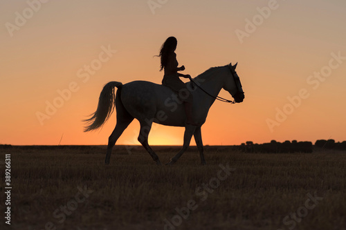 Attractive young Caucasian female with a beautiful dress riding a horse in countryside at sunset