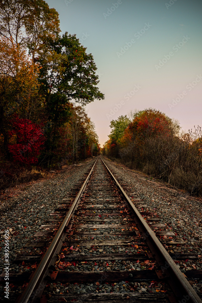 Railroad Tracks Going Through the Autumn Forest Railroad Tracks Going Through the Autumn Forest