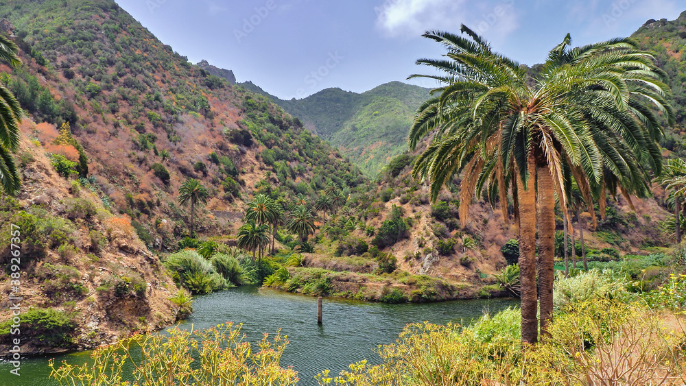 small lake, palm trees, green plants, island, La Gomera, the Canaries, scenery, isle, idyll, outside, without people, small lake, palm trees, green plants, island, La Gomera, the Canaries, scenery, isle, idyll, outside, without people,