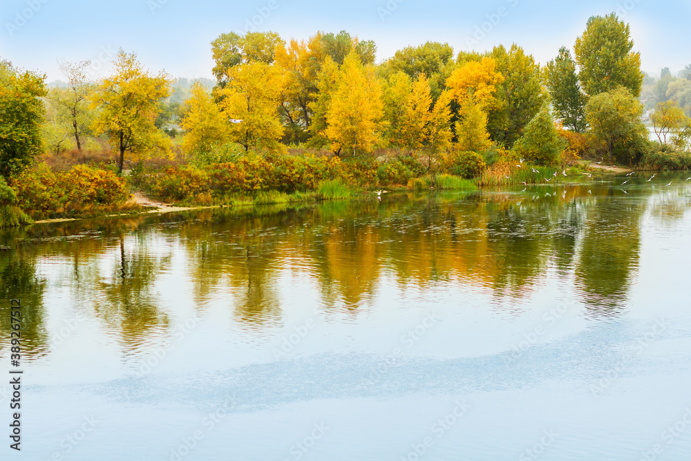 River water landscape. Forest river in autumn. Forest lake view. Autumn forest river refelction in water. Autumn nature forest river landscape. Lake water reflection in autumn.