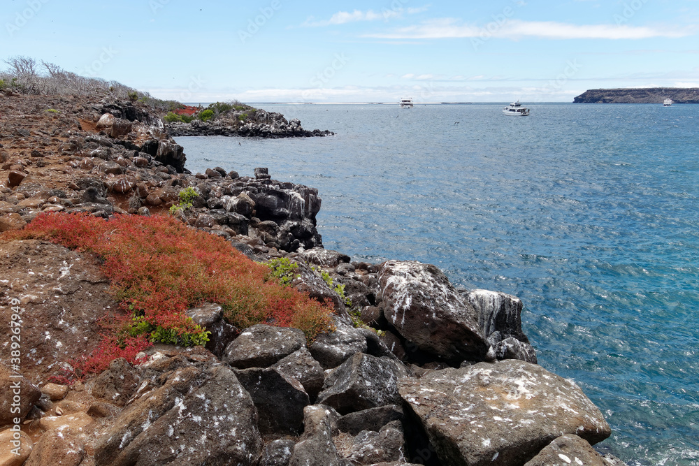 Seymour North (Norte) landscape, Galapagos Island, Ecuador Seymour North (Norte) landscape, Galapagos Island, Ecuador