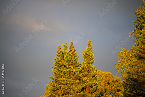 everything is colored in light autumn tones by the evening  sun while dark clouds spread mischief in the background