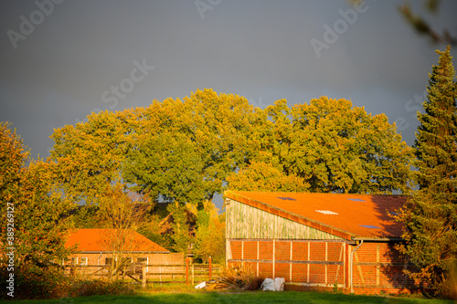 everything is colored in light autumn tones by the evening  sun while dark clouds spread mischief in the background