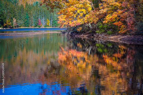Bright colors of autumn reflected by clear lake