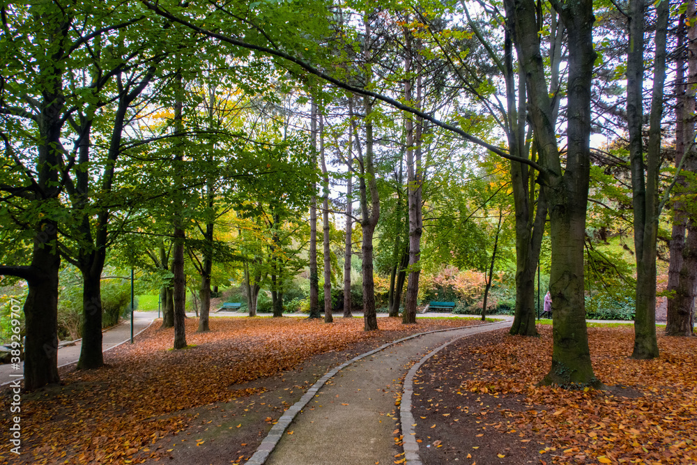 Autumn alley in the the Parc Georges Brassens - Paris, France