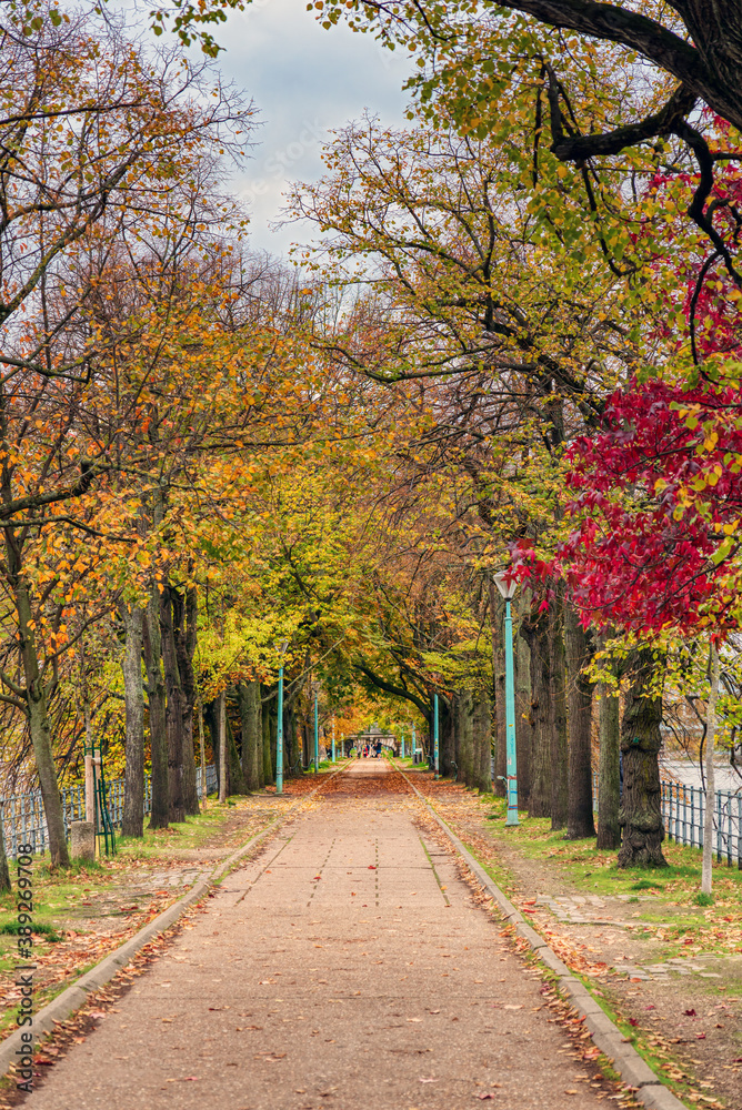 Autumn alley in the Isle of the Swans (Ile aux Cygnes) - Paris, France