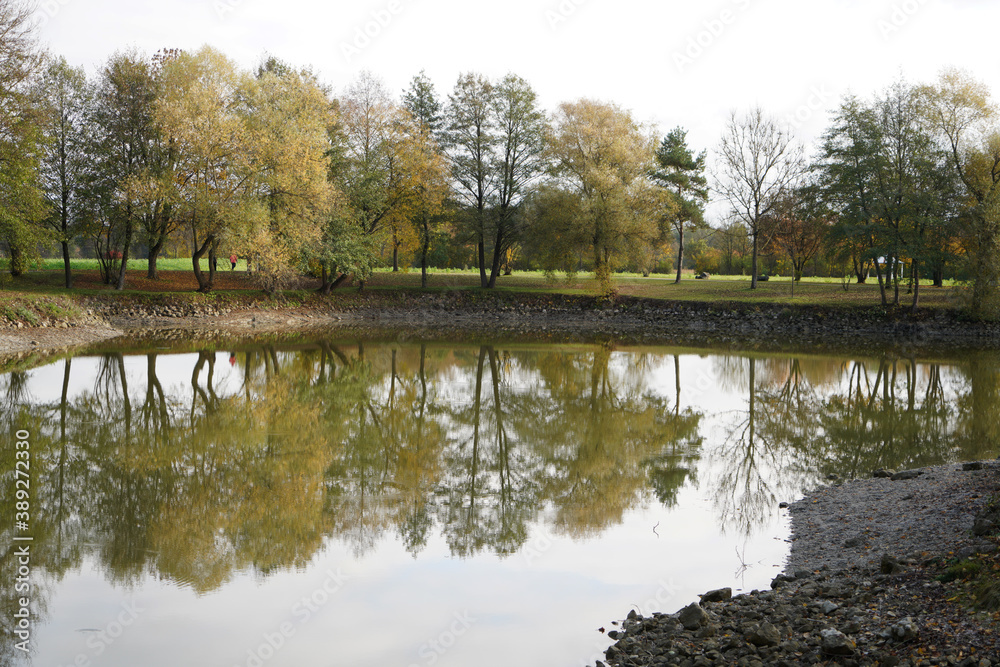reflection of trees in the water