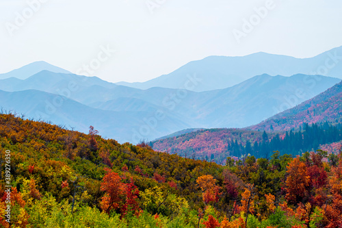 Alpine Loop Utah Fall Colors