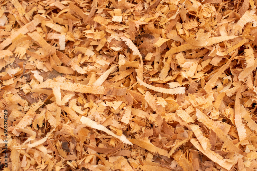 Beautiful background from sawdust. Sawdust texture for design. Beautiful background from sawdust. Sawdust texture for design.