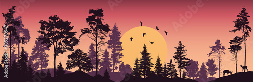 Forest trees vector. Sunset illustration