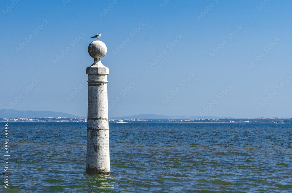 Seagull sits on a column by the sea. Embankment in the center of Lisbon with seagull