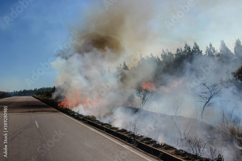Road on fire - Wildfire on the shoulder of a brazilian highway