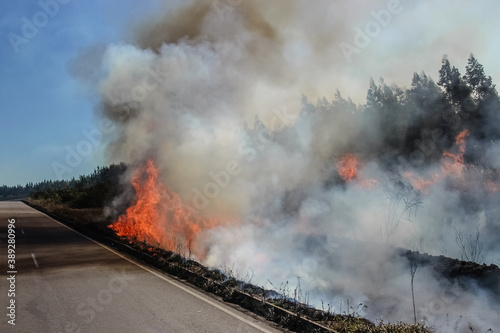 Road on fire - forest fire on the side of a highway with flames and smoke