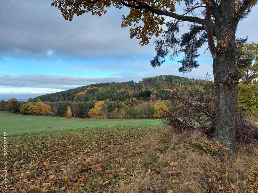 Naklejka premium landscape with green grass and sky Šumava