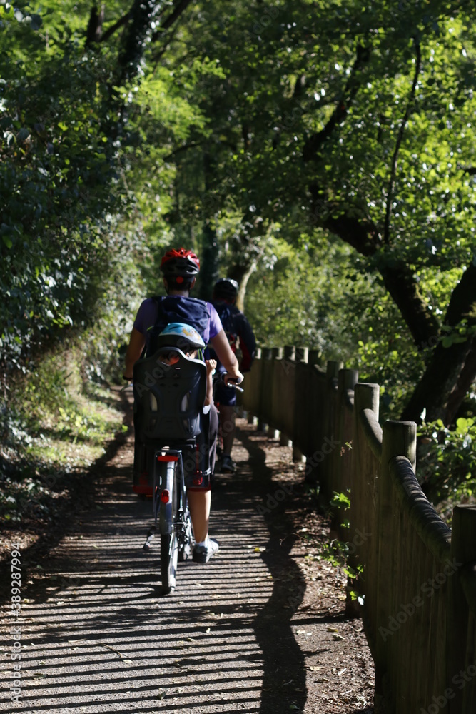Riding a bike in a forest Riding a bike in a forest