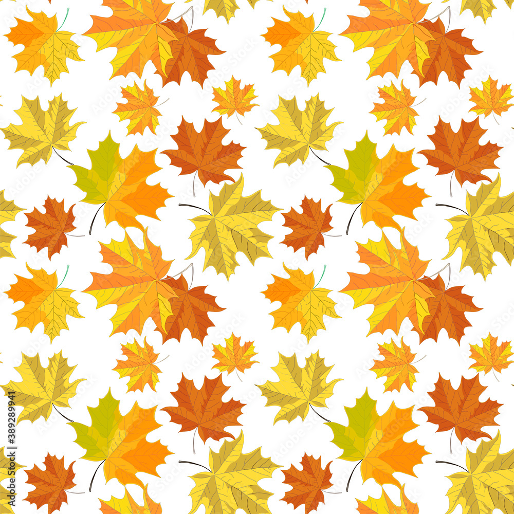 Pattern with maple leaves on white background Pattern with maple leaves on white background