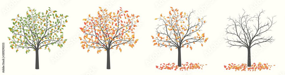 Drawing of a tree with leaves and red fruit in four versions