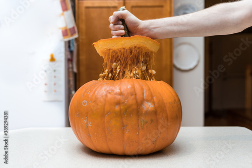 Person holding a pumpkin. Cutting open a pumpkin and removing seeds and guts. Carving a fresh pumpkin and making a Jack-o-Lantern for Halloween. Hand holding top of pumpkin stem