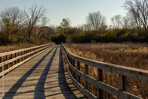 Wooden Bridge at Mallard Lake  Hanover Park IL October 31  2020