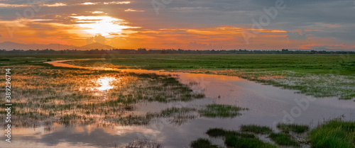 sunset at swamp grass