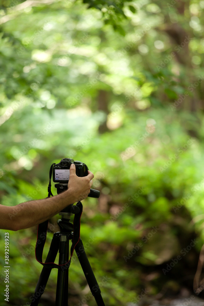 Photographers hand taking photo with camera on tripod standing at green wild nature forest background photography travel concept