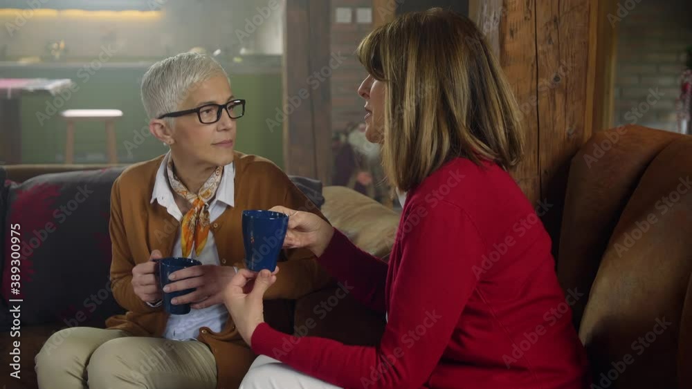 Two senior women at home during Christmas time, talking and drinking coffee in the cozy of decorated home Two senior women at home during Christmas time, talking and drinking coffee in the cozy of decorated home