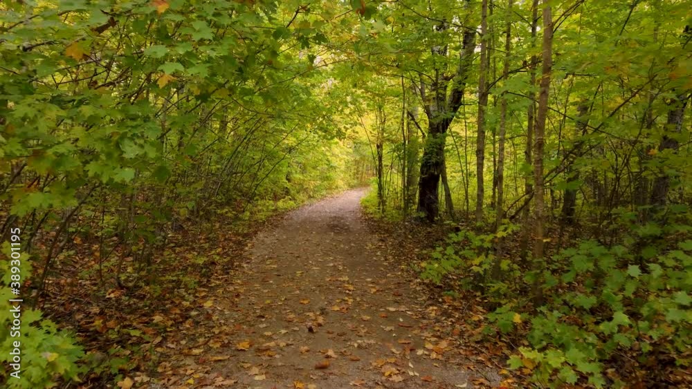 Walking in the nature trail with tunnel of trees in early autumn time 