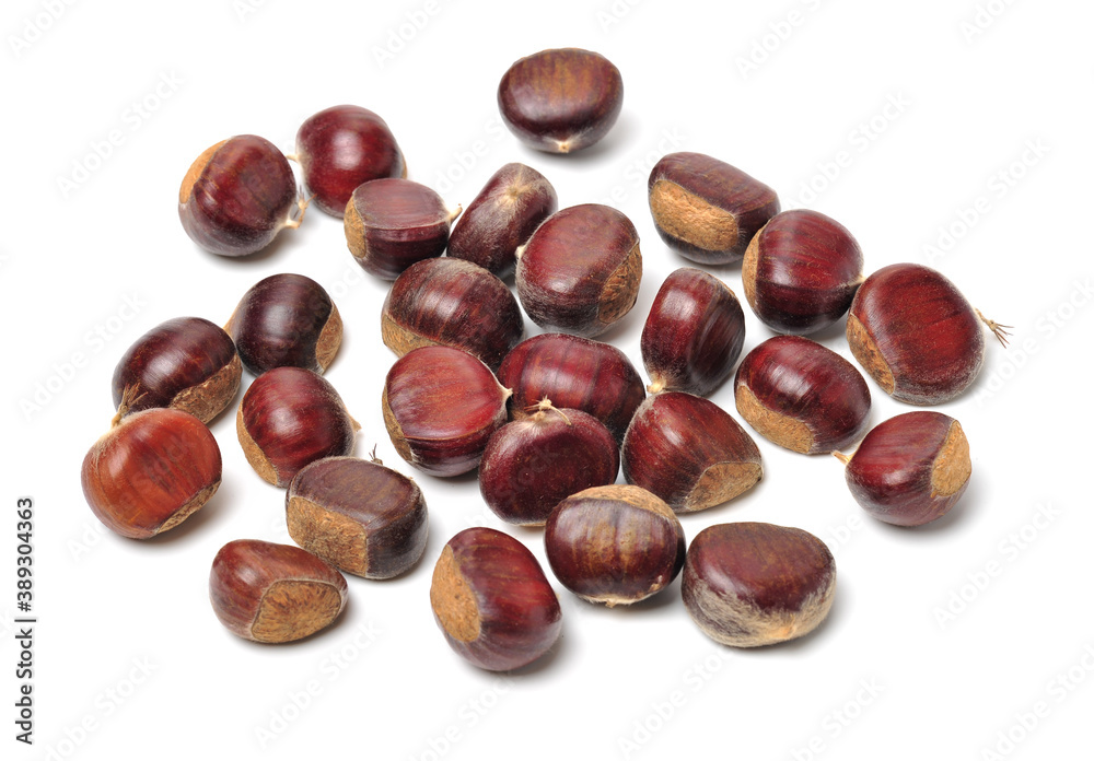 Obraz premium chestnut on a white background