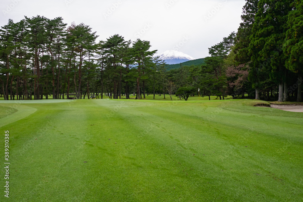 Golf Course with beautiful green field. Golf course with a rich green turf beautiful scenery. Golf Course with beautiful green field. Golf course with a rich green turf beautiful scenery.