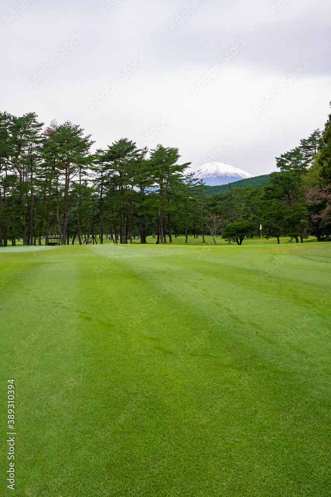 Golf Course with beautiful green field. Golf course with a rich green turf beautiful scenery. Golf Course with beautiful green field. Golf course with a rich green turf beautiful scenery.