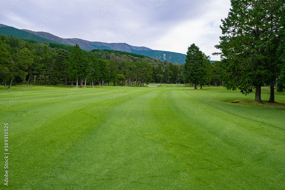 Golf Course with beautiful green field. Golf course with a rich green turf beautiful scenery. Golf Course with beautiful green field. Golf course with a rich green turf beautiful scenery.