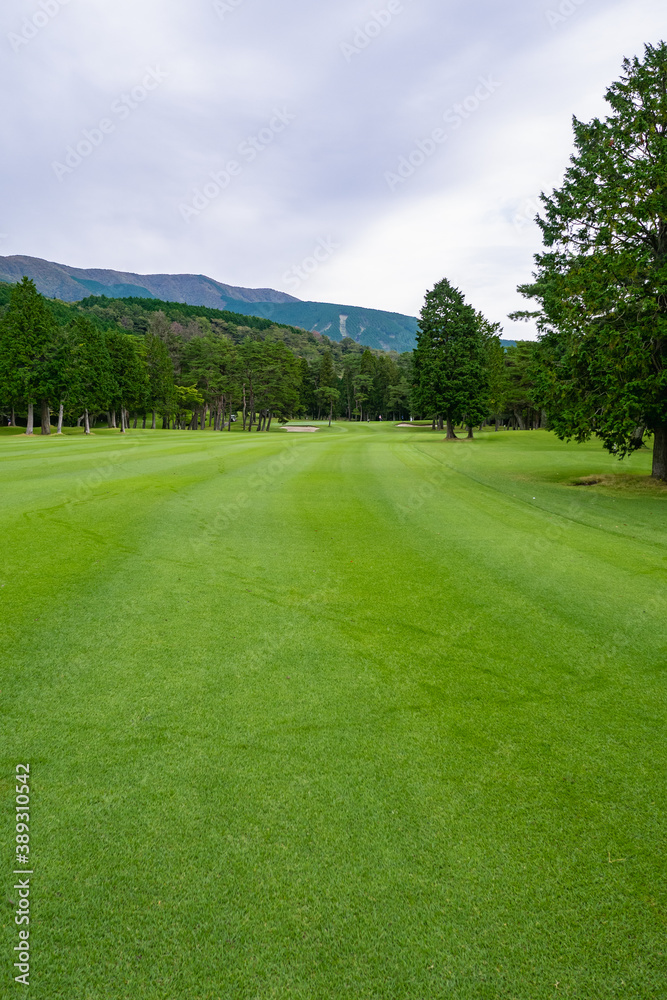Golf Course with beautiful green field. Golf course with a rich green turf beautiful scenery. Golf Course with beautiful green field. Golf course with a rich green turf beautiful scenery.