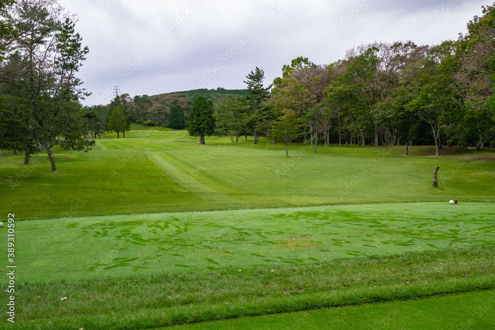 Golf Course with beautiful green field. Golf course with a rich green turf beautiful scenery. Golf Course with beautiful green field. Golf course with a rich green turf beautiful scenery.