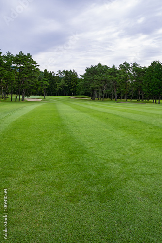 Golf Course with beautiful green field. Golf course with a rich green turf beautiful scenery.