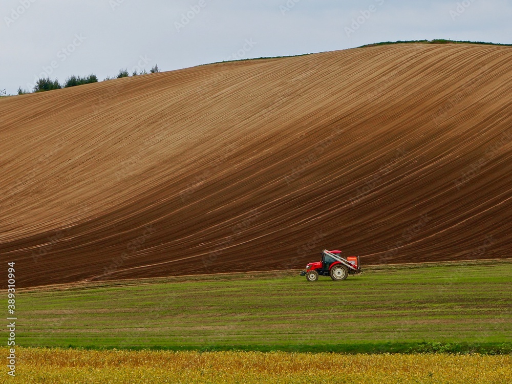 Obraz premium Biei,Hokkaido,Japan