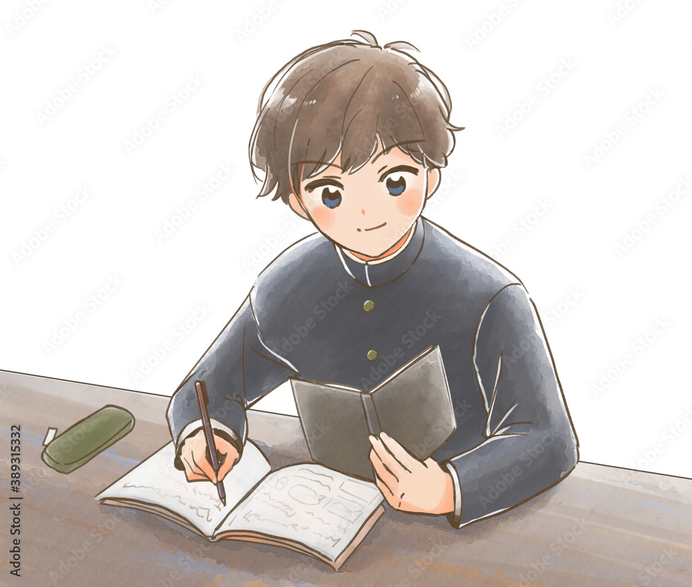 手描き風 自信をつけて勉強する学ラン男子生徒のイラスト Stock Illustration Adobe Stock