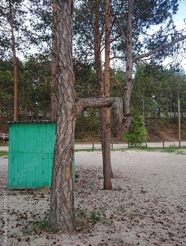 Природа Байкала