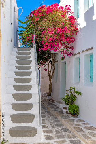 Fototapeta Naklejka Na Ścianę i Meble -  Traditional Cycladitic alley with narrow street, whitewashed houses and a blooming bougainvillea flowers in parikia, Paros island, Greece.