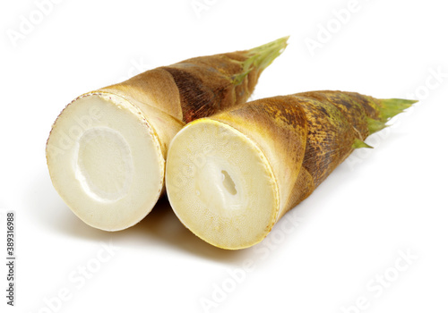 winter bamboo shoots on white background.