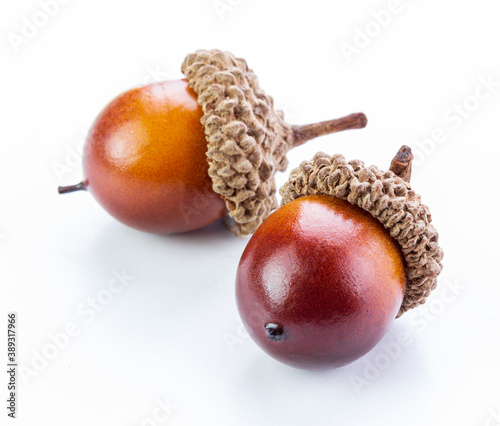 two an oak acorns isolated white background