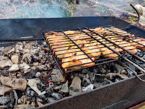 grilled meat on the grill