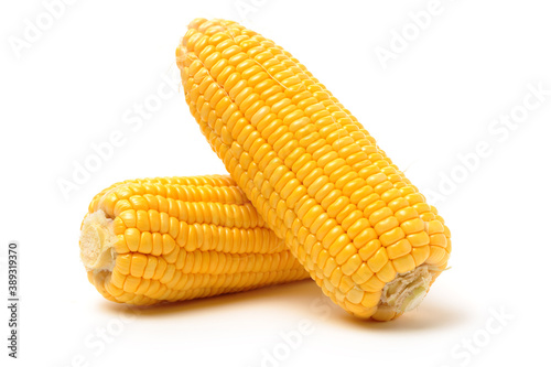 Corn on a white background 