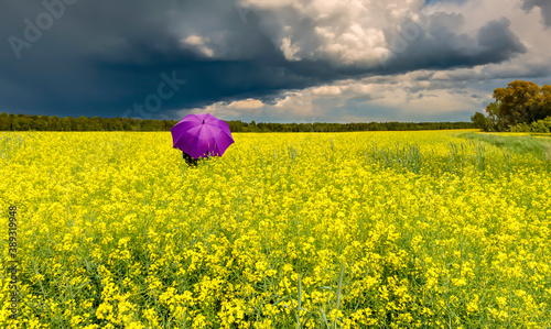 Approaching thunderstorm to blossoming rapeseed field, concept of weather for...