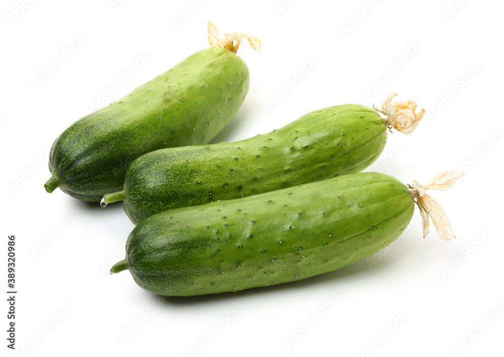 Green cucumber on the white background Green cucumber on the white background